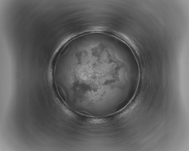 X0000111030835200907021536