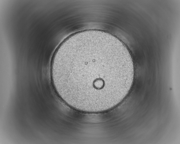 X0000111030836200907021536