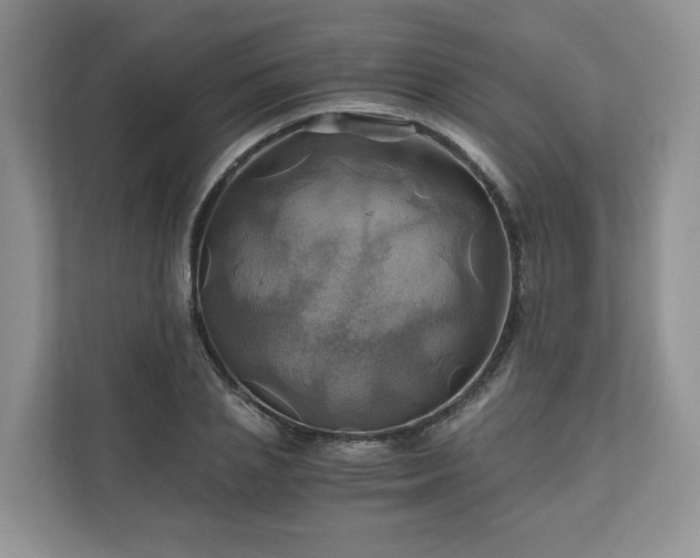 X0000111030837200907021536
