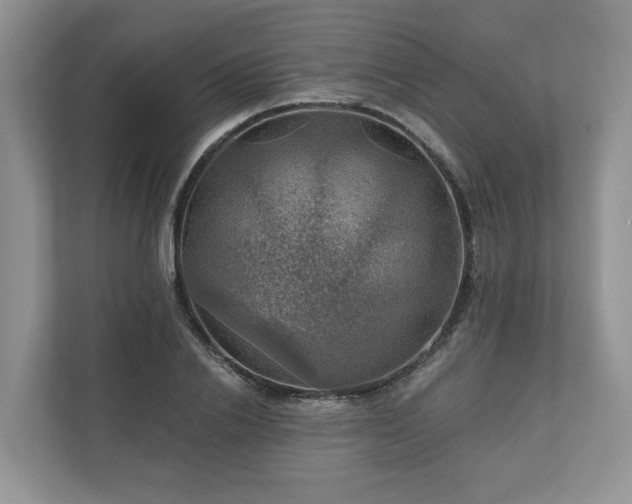 X0000111030838200907021536