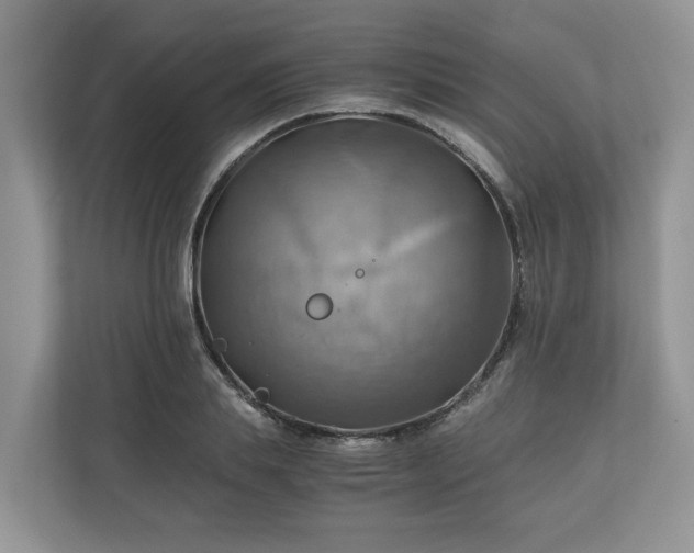 X0000111030839200907021536