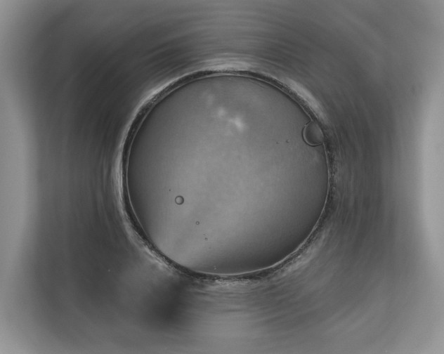 X0000111030840200907021536