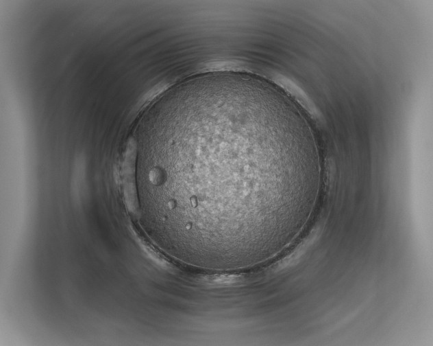 X0000111030841200907021536