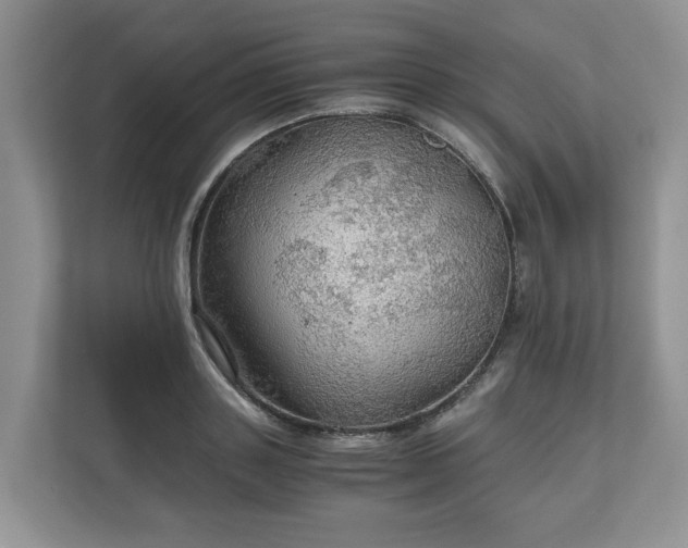 X0000111030843200907021536