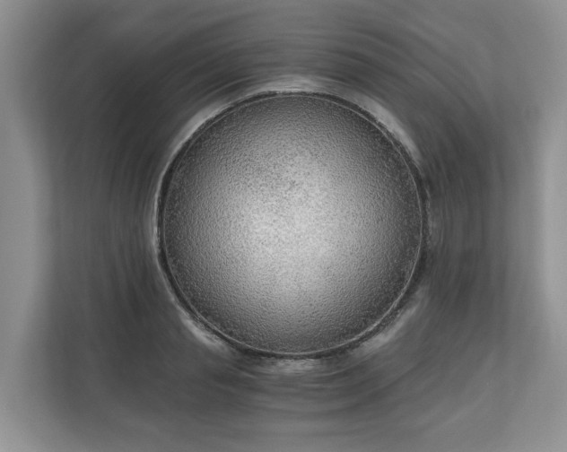 X0000111030845200907021536