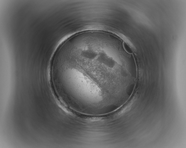 X0000111030846200907021536