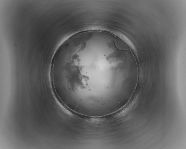 X0000111030847200907021536