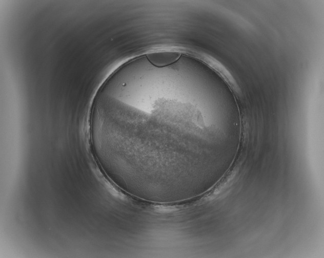 X0000111030852200907021537