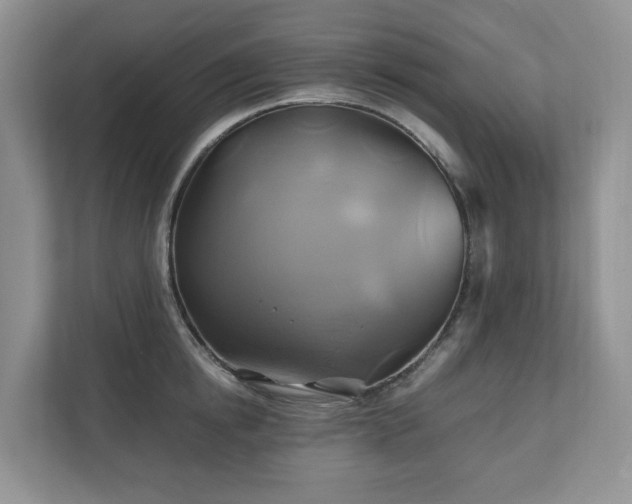 X0000111030854200907021537