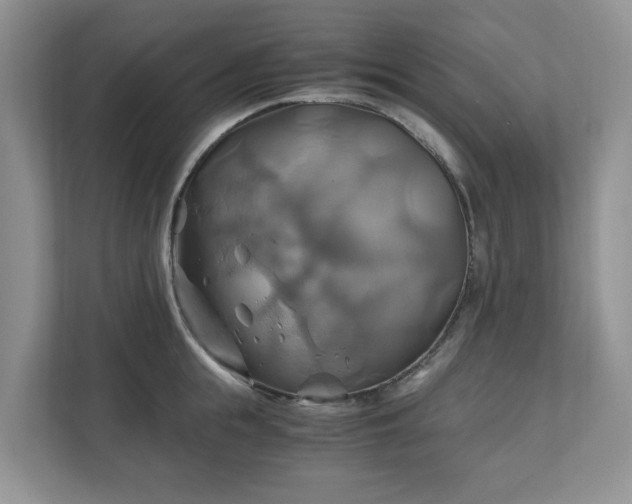 X0000111030855200907021537