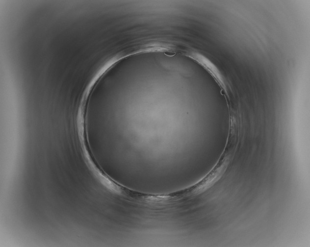X0000111030859200907021537