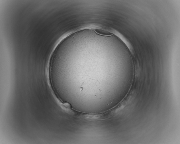 X0000111030861200907021537