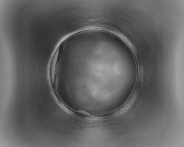 X0000111030862200907021537