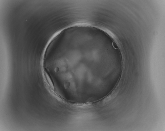 X0000111030864200907021537