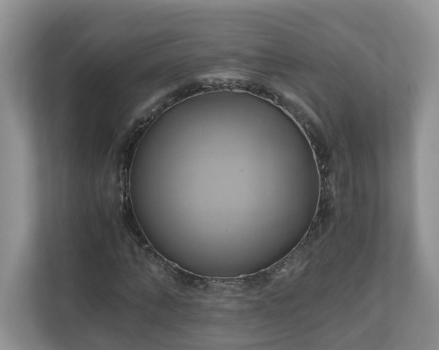 X0000111030870200907021536
