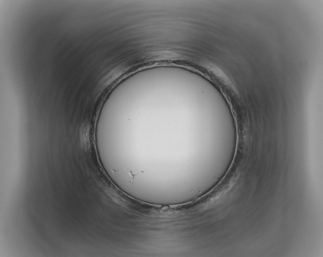 X0000111030873200907021536