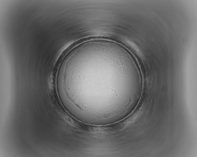 X0000111030875200907021536