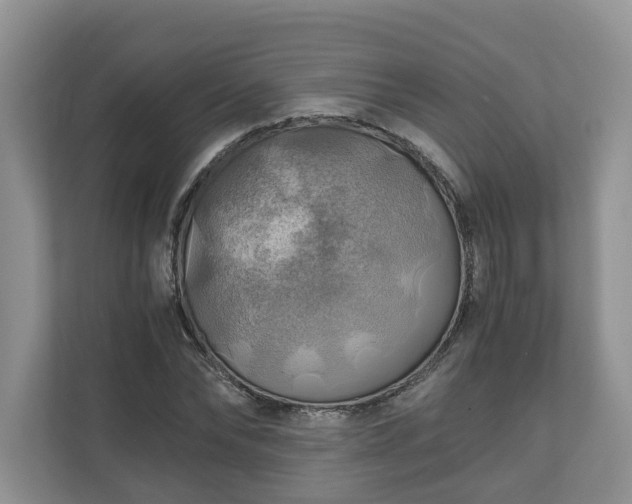 X0000111030878200907021536