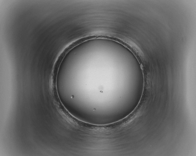 X0000111030880200907021536