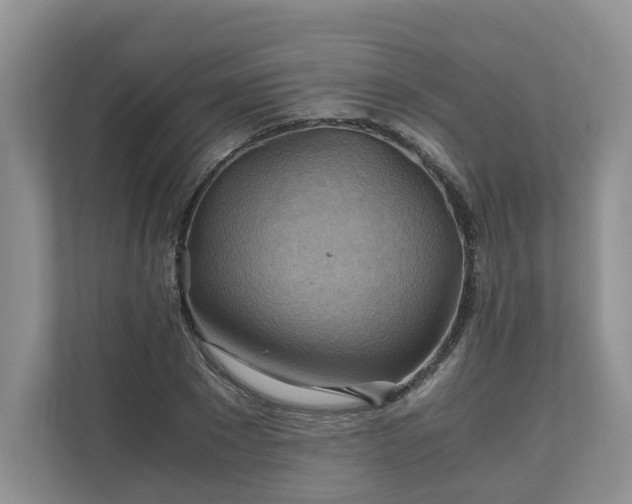 X0000111030881200907021536