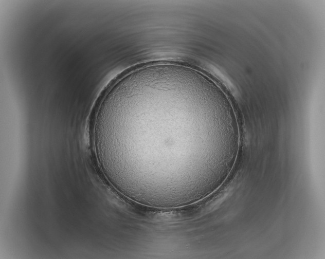 X0000111030883200907021536