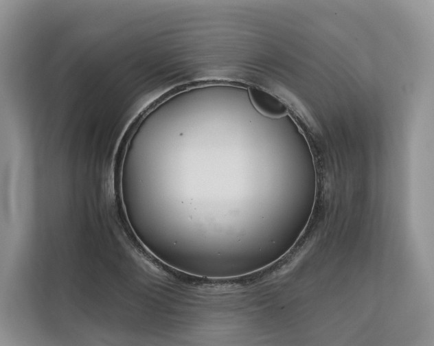 X0000111030884200907021536