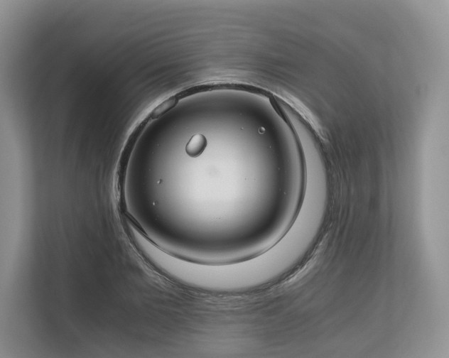 X0000111030885200907021536