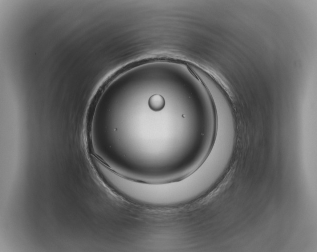 X0000111030888200907021536