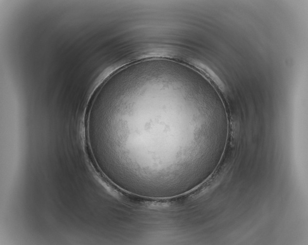 X0000111030890200907021536