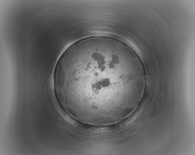 X0000111030891200907021536