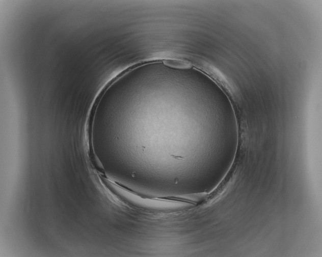 X0000111030892200907021536