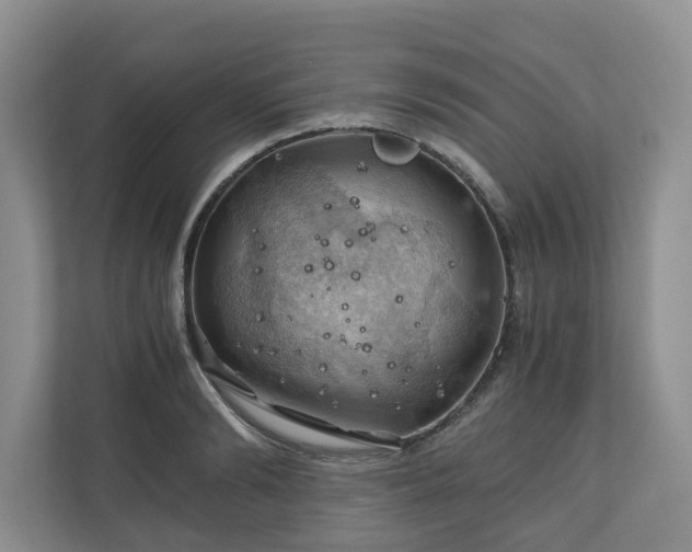 X0000111030894200907021536