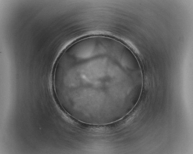 X0000111030895200907021536