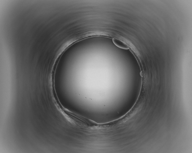 X0000111030898200907021536