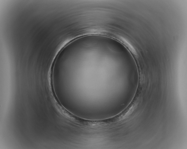X0000111030899200907021536