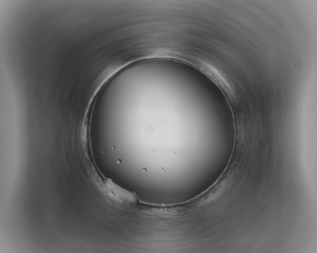 X0000111030900200907021536