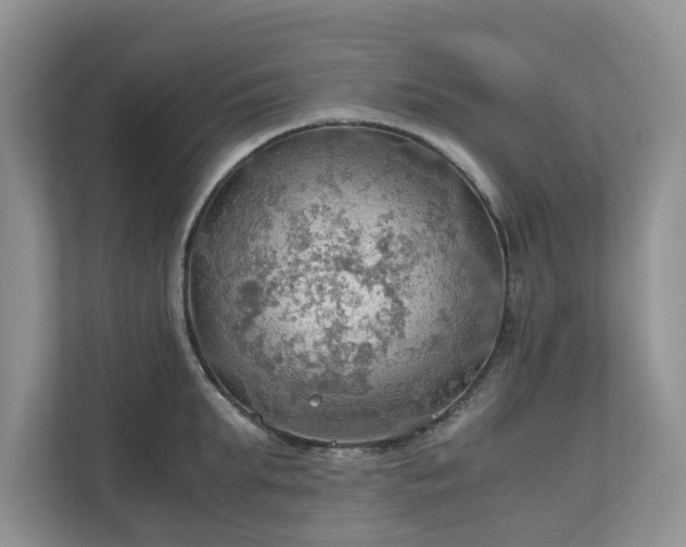 X0000111030903200907021536
