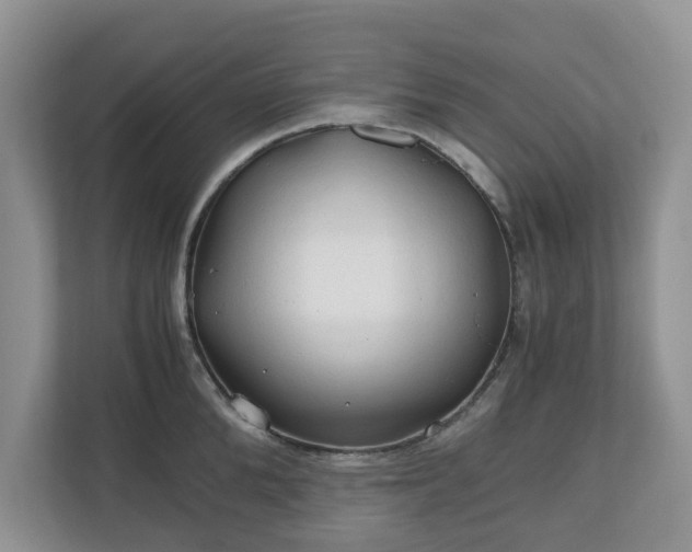 X0000111030904200907021536