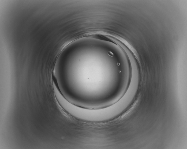 X0000111030905200907021536