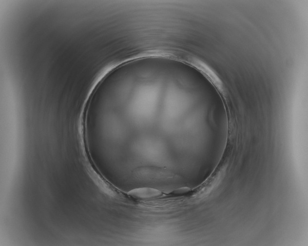 X0000111030907200907021536