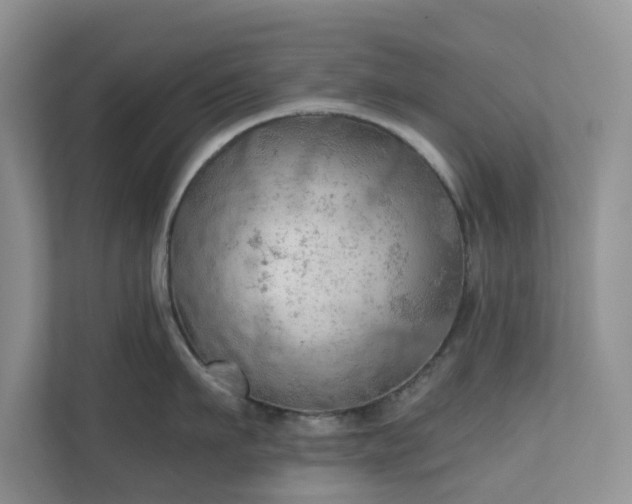 X0000111030911200907021535