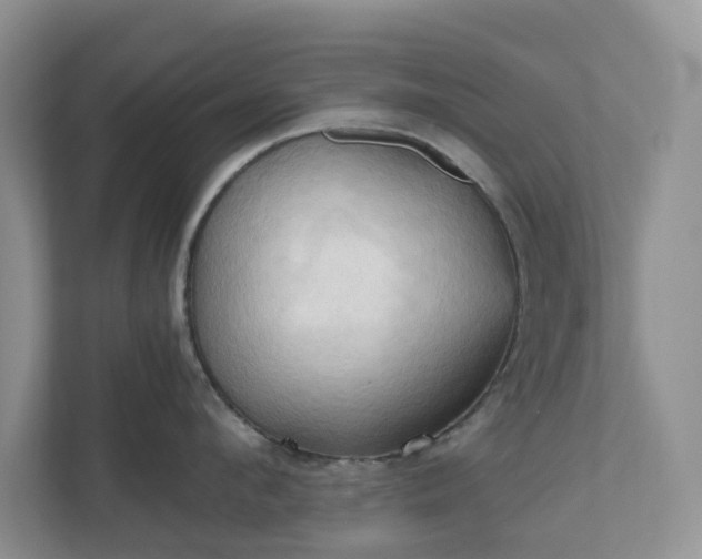 X0000111030912200907021535