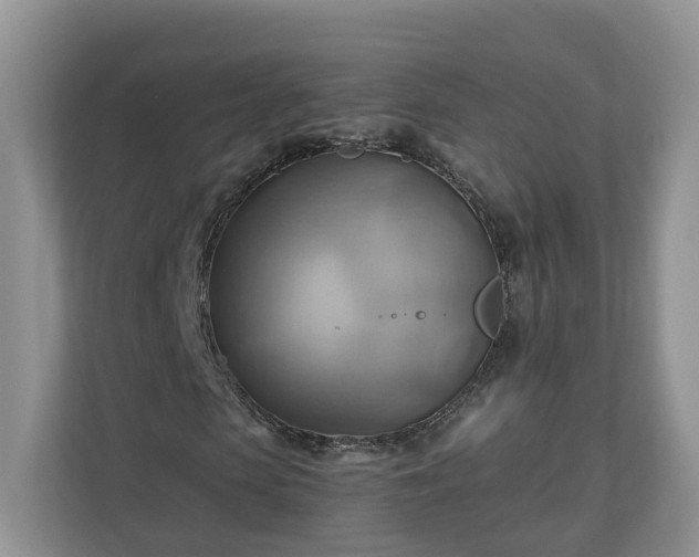 X0000111030913200907021535