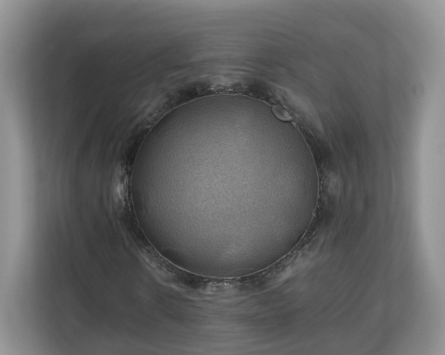 X0000111030914200907021535