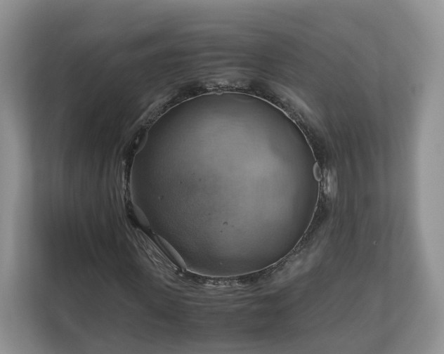 X0000111030915200907021535