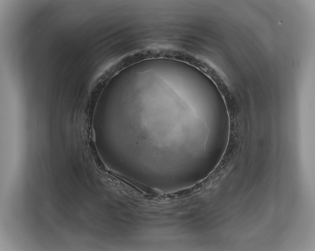 X0000111030919200907021535