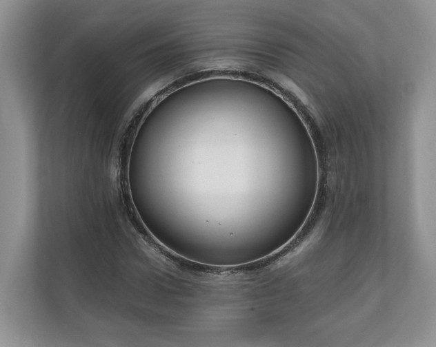 X0000111030922200907021535