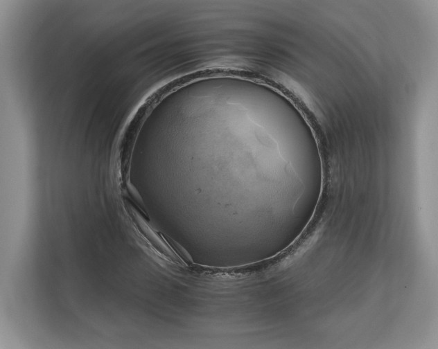 X0000111030923200907021535