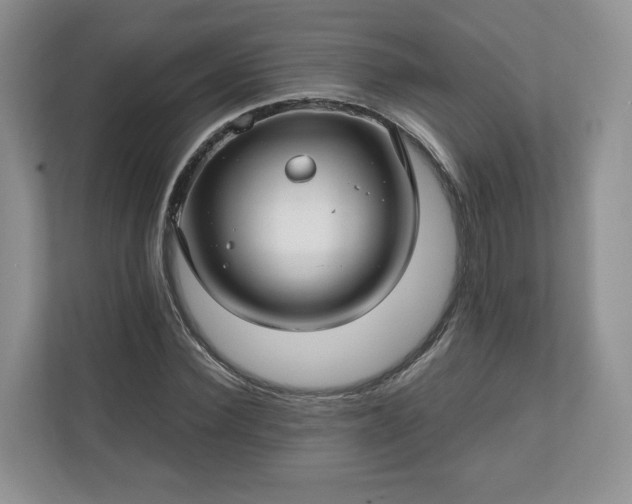 X0000111030924200907021535