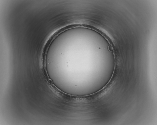 X0000111030927200907021535